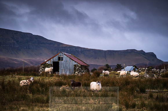 Isle of Skye Winter-92