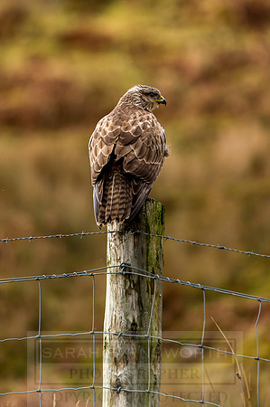 Isle of Skye Winter-101