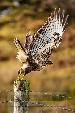 Isle of Skye Winter-102