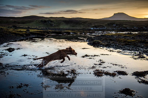 Isle of Skye Winter-129