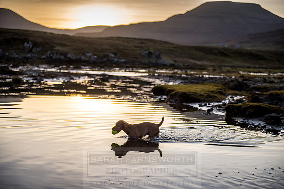 Isle of Skye Winter-130