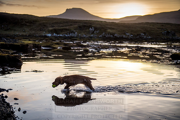 Isle of Skye Winter-131