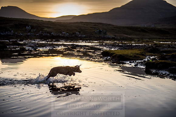 Isle of Skye Winter-134
