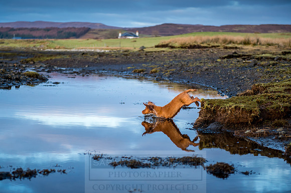 Isle of Skye Winter-135