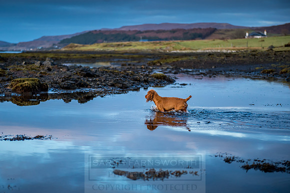 Isle of Skye Winter-136