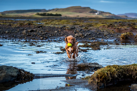 Isle of Skye Winter-137