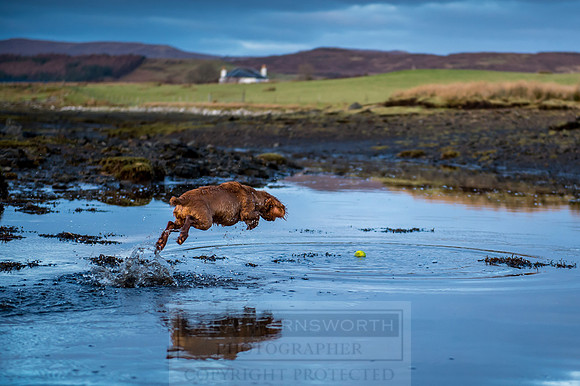 Isle of Skye Winter-138