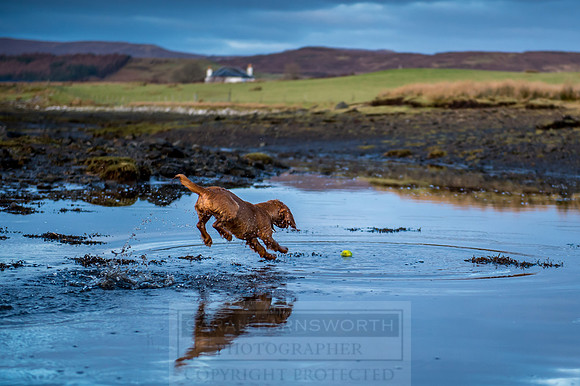 Isle of Skye Winter-139
