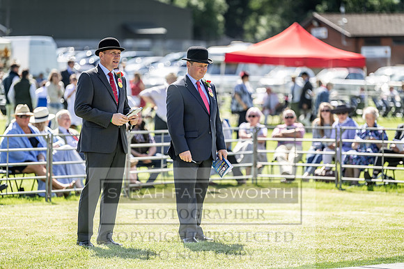 Builth Hound Show 2019-34