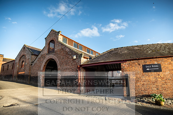 GUK Yorton Sale 2019-7