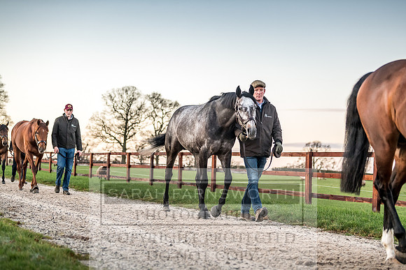 Tweenhills January 2019-36