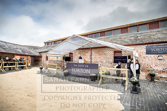 GUK Yorton Sale 2019-262