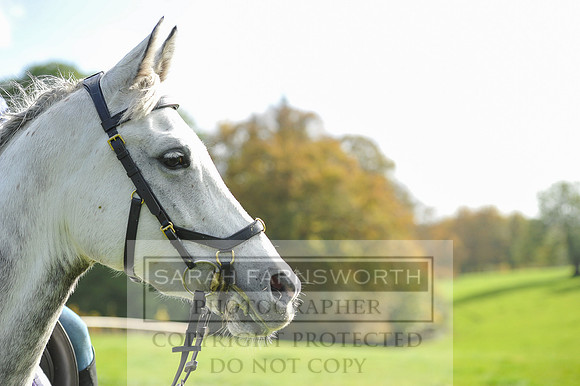 Heythrop Fun Ride 2014-507