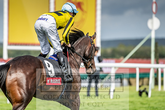 GUK Goodwood Sale 2019-93
