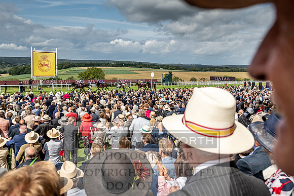 GUK Goodwood Sale 2019-154