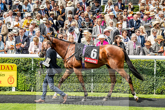 GUK Goodwood Sale 2019-85