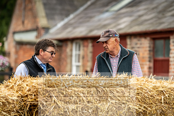 GUK Yorton Sale 2019-81