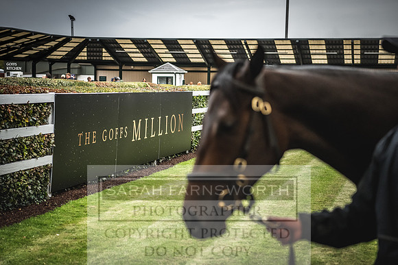 Goffs Orby 2022 Day 1-82