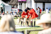 Builth Hound Show 2019-19