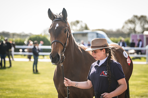 Goffs UK Breeze Up 2022-188