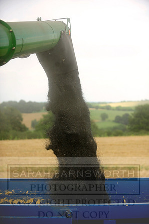 combining r-oil 022