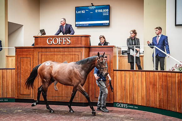 Goffs UK Breeze Up 2022-299