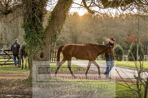 Tweenhills January 2019-83