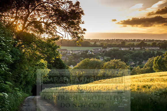 Cotswolds June 2017-19