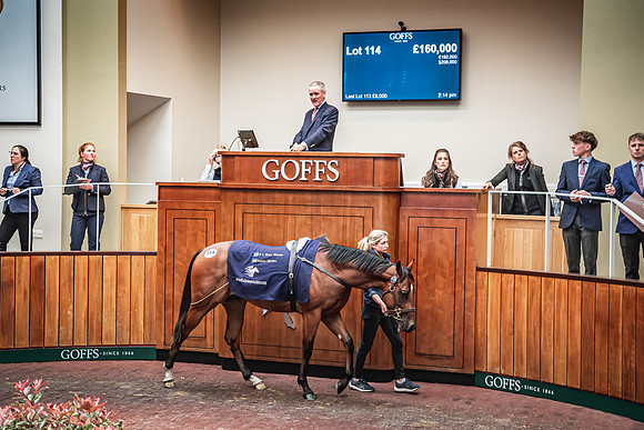 Goffs UK Breeze Up 2022-328