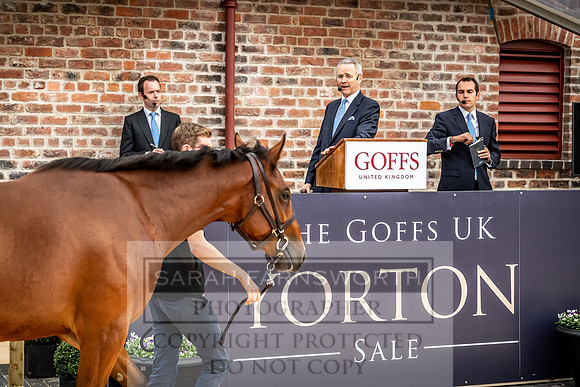 GUK Yorton Sale 2019-286
