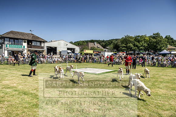 Builth Hound Show 2019-89