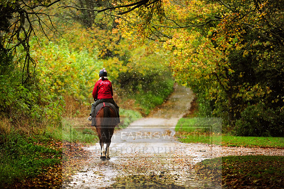 Autumn Snow 022