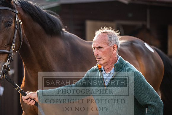 Goffs UK Spring Sale 2024-185
