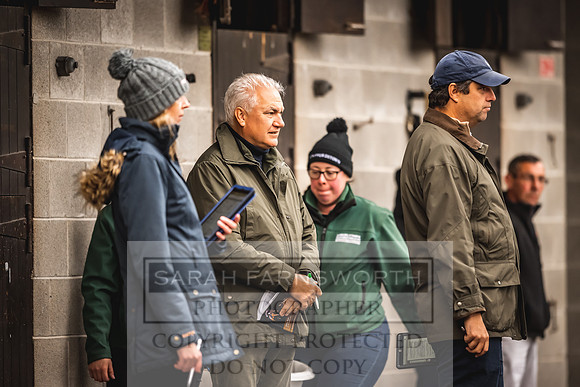 Goffs Orby 2022 Day 1-46