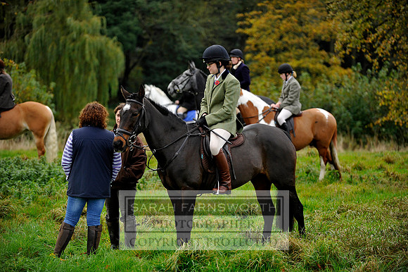 Brocklesby 021113 CF3 289