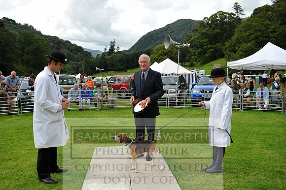 Rydal 2014 CF1 483