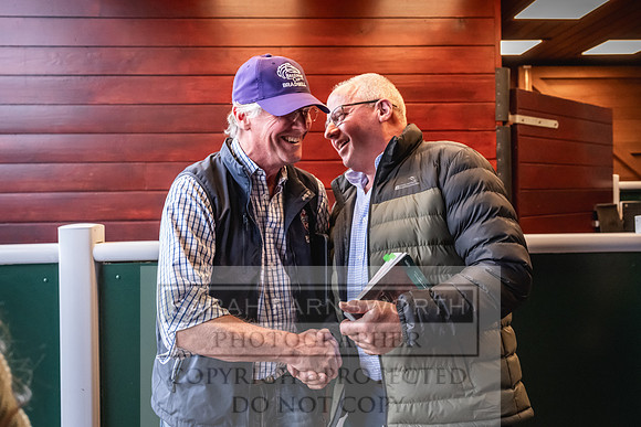 Goffs UK PY24-593