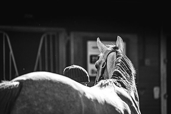 Goffs UK Breeze Up 2022-93