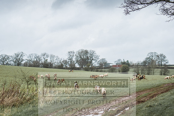 Ludlow 261215-120
