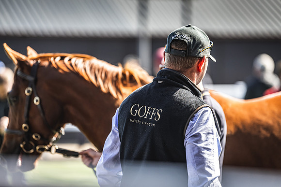 Goffs UK Breeze Up 2022-191