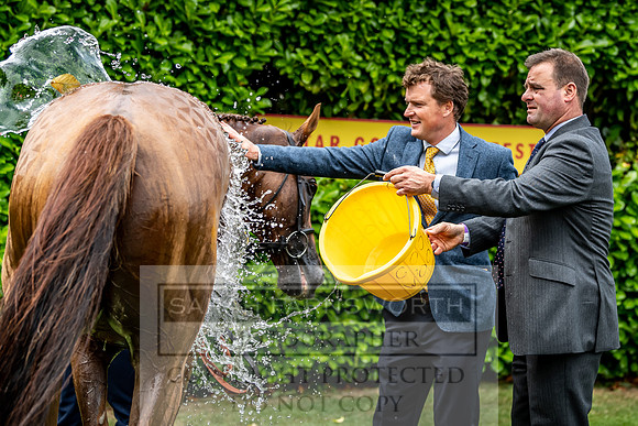 GUK Goodwood Sale 2019-34