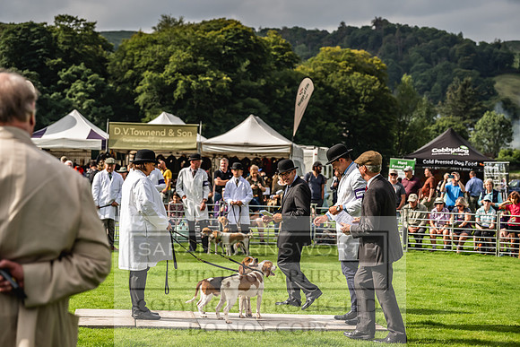 Rydal Hound show 2023-2