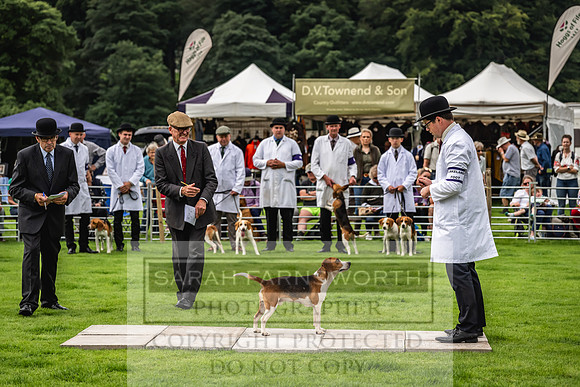 Rydal Hound show 2023-4