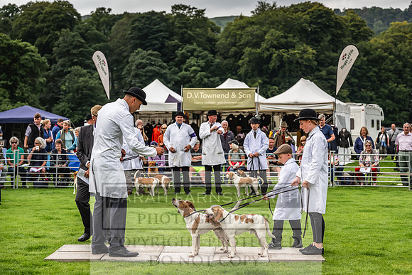 Rydal Hound show 2023-5