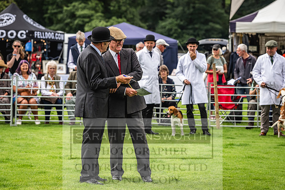Rydal Hound show 2023-3