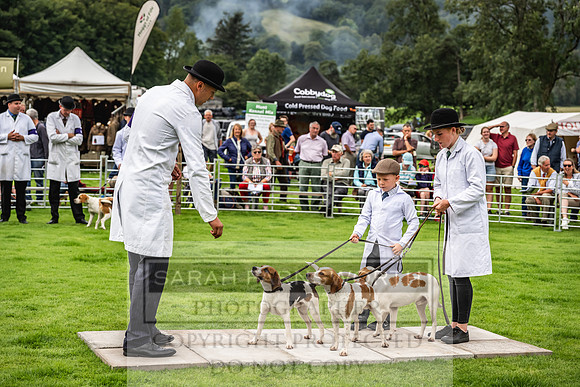Rydal Hound show 2023-6