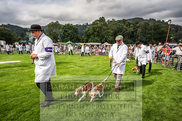Rydal Hound show 2023-8