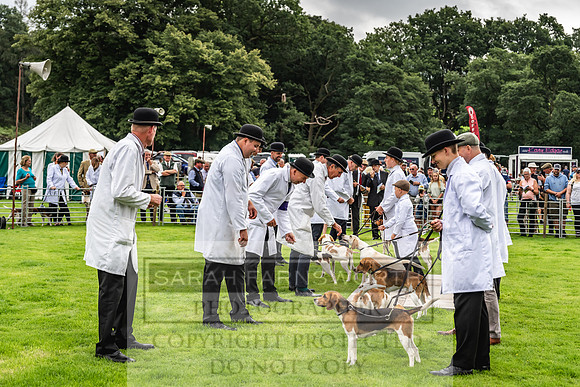 Rydal Hound show 2023-13