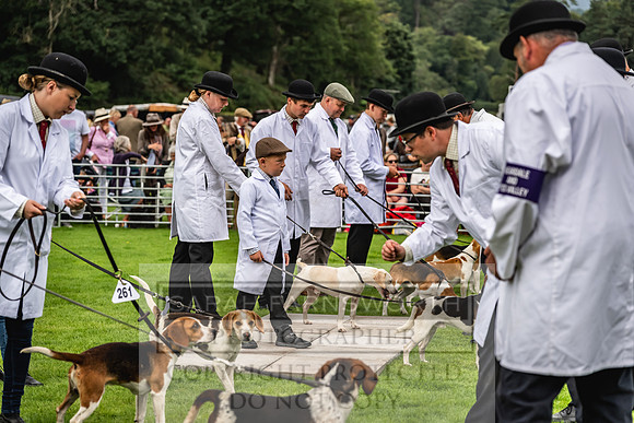 Rydal Hound show 2023-14