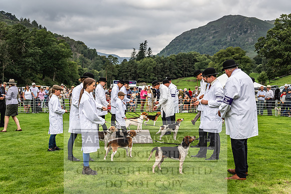 Rydal Hound show 2023-15